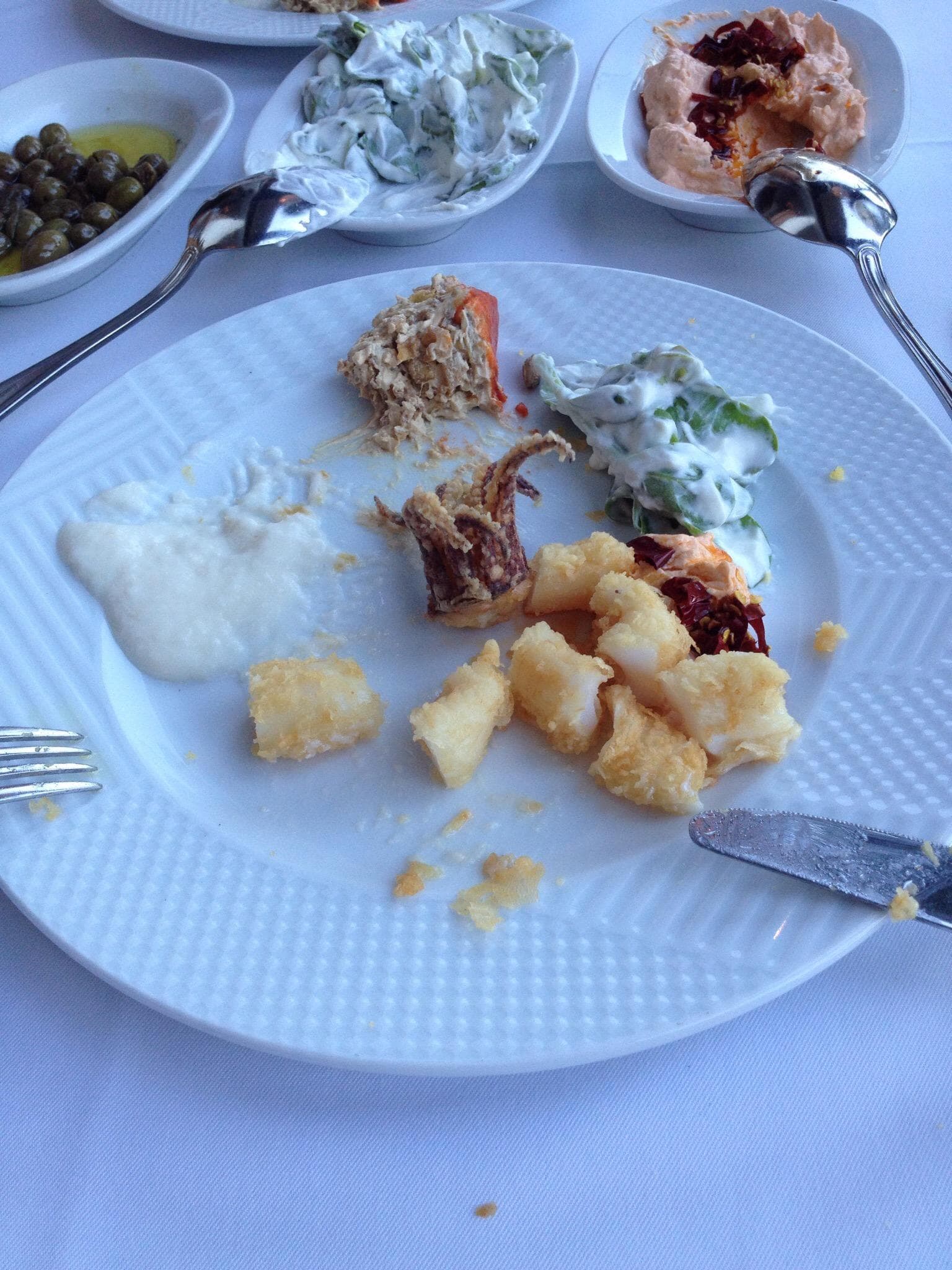 Revma Balık 2