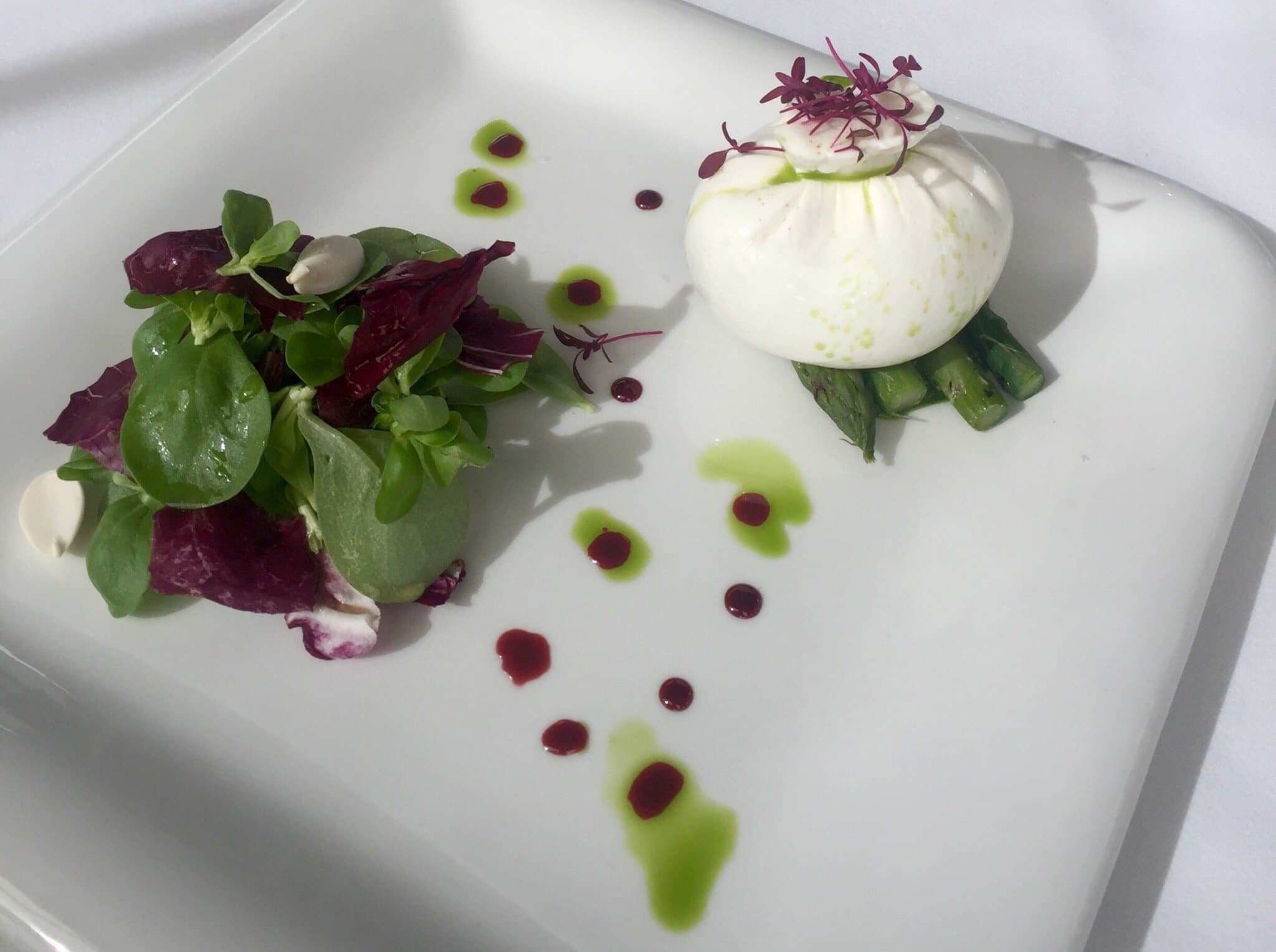 Scarpetta 5