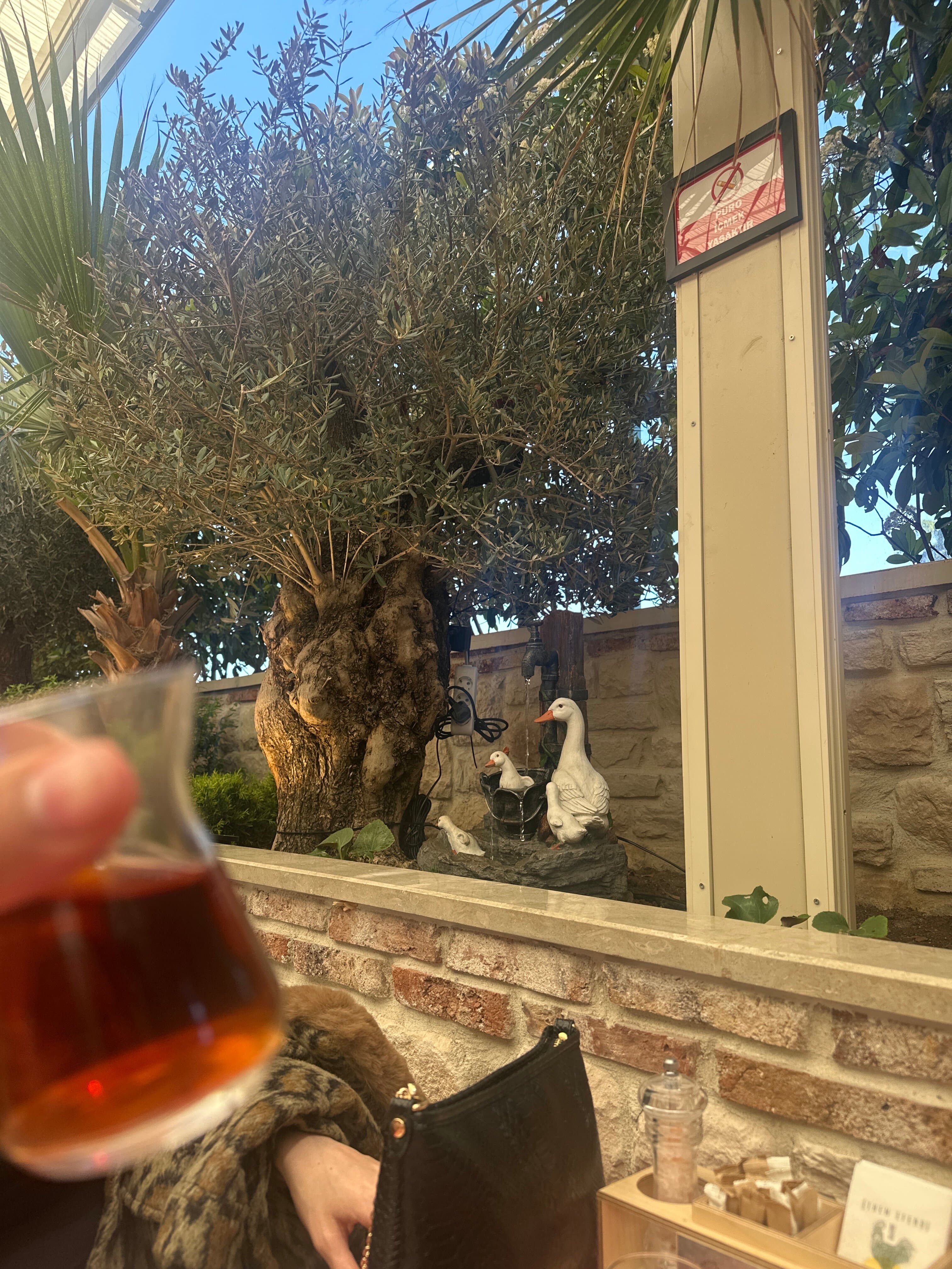 Ethem Efendi Kahvaltı Etiler 5